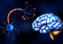 O que a neurociência diz sobre a ansiedade